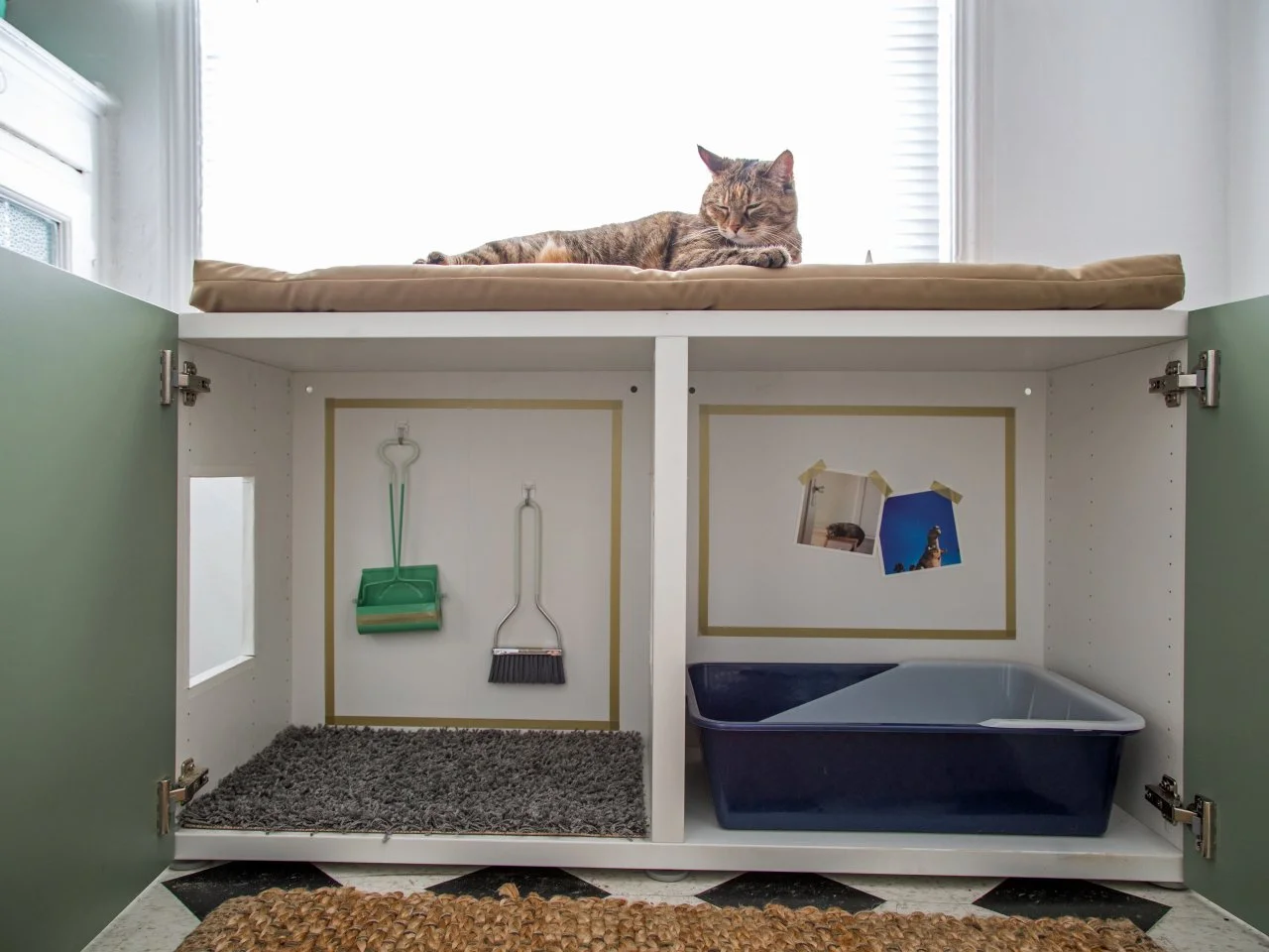 How to Conceal a Kitty Litter Box Inside a Cabinet HGTV